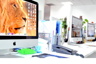 平面設計，不止是美工 在「看準網」上洞察行業趨勢與職業發展