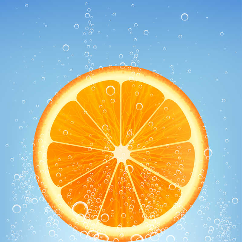 白色背景上的柑橘類水果矢量插圖 平面設(shè)計(jì)的活力源泉